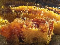 soil-honey-1534287_1920